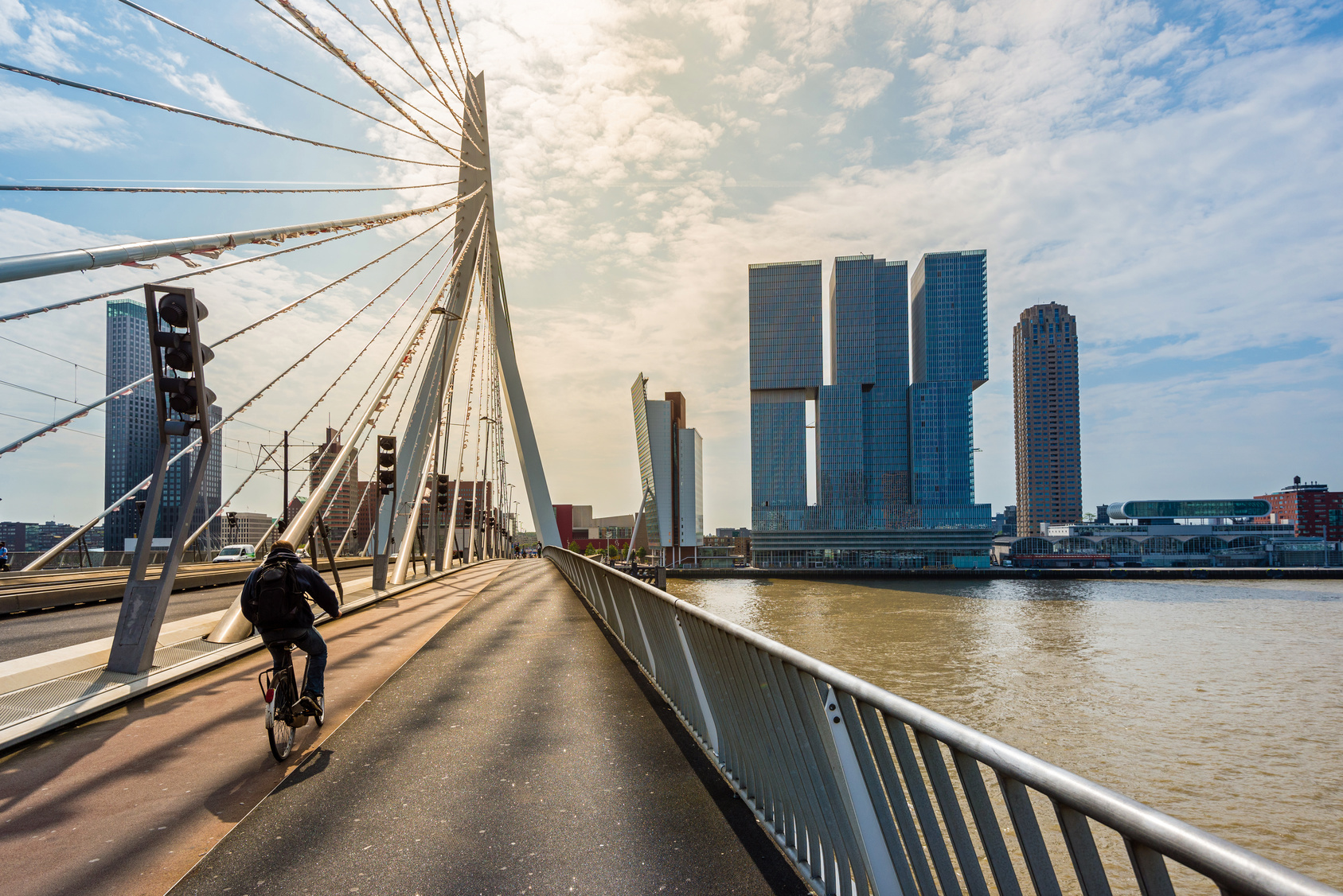 Erasmus-Brücke; Detektei Niederlande, Detektiv Niederlande, Privatdetektiv Niederlande